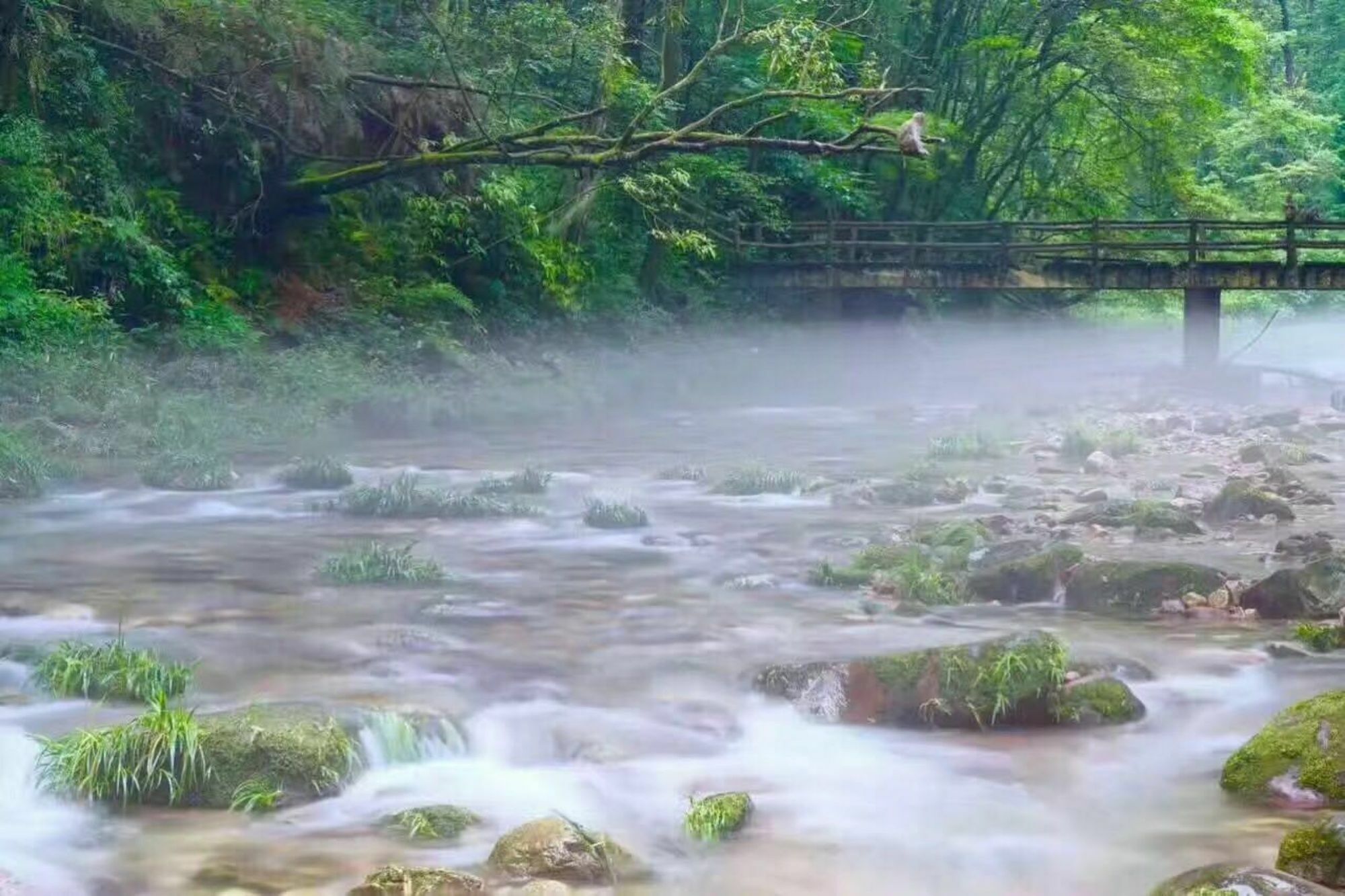 Zhangjiajie Yueranju Hostel Eksteriør bilde