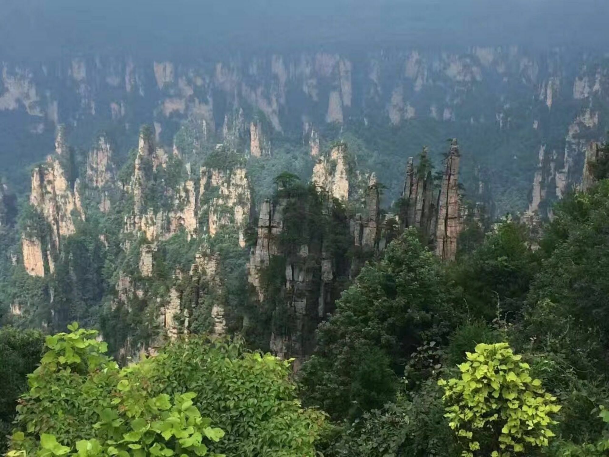 Zhangjiajie Yueranju Hostel Eksteriør bilde